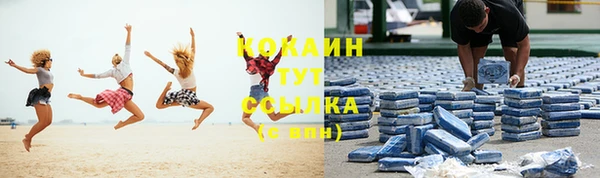 ПСИЛОЦИБИНОВЫЕ ГРИБЫ Магадан