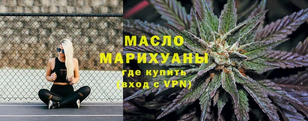 дмт Абаза